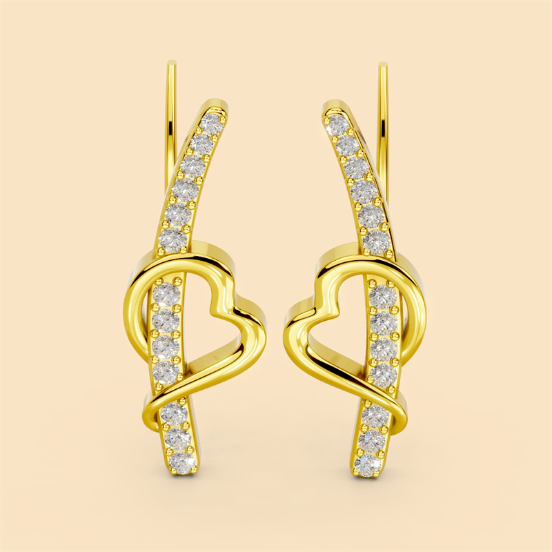 Custom women premium silver and gold earrings jewelry