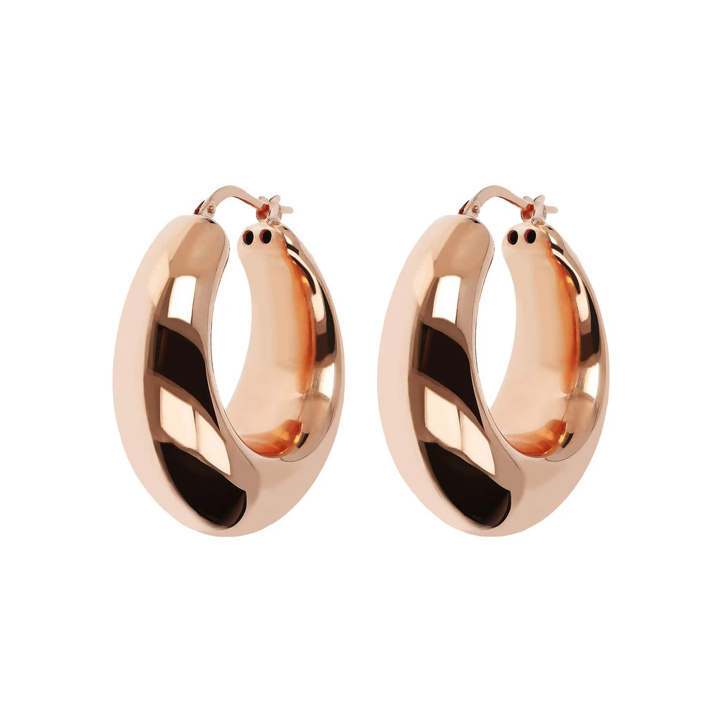 Wholesale OEM/ODM Jewelry Custom Germany silver hoop earrings design fine jewelry wholesaler suppliers