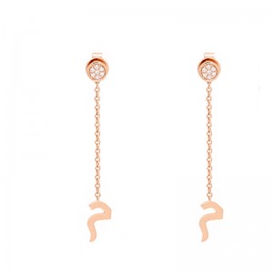 custom designs 925 sterling silver 14K or 18K solid gold hoop earrings  in rose gold veimeil wholesaler